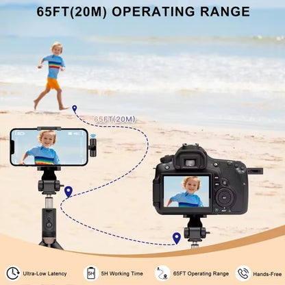 Wireless Lavalier Microphone Portable Audio Video Recording Mini Mic for Iphone Android Live Broadcast Gaming Phone with Receive